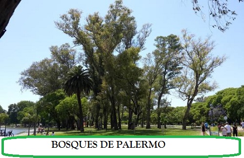 BOSQUES DE PALERMO